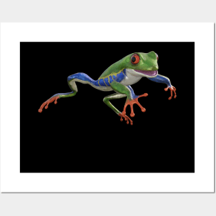 Froggy Posters and Art